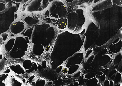 The Impact of Carbon Filters on Airflow